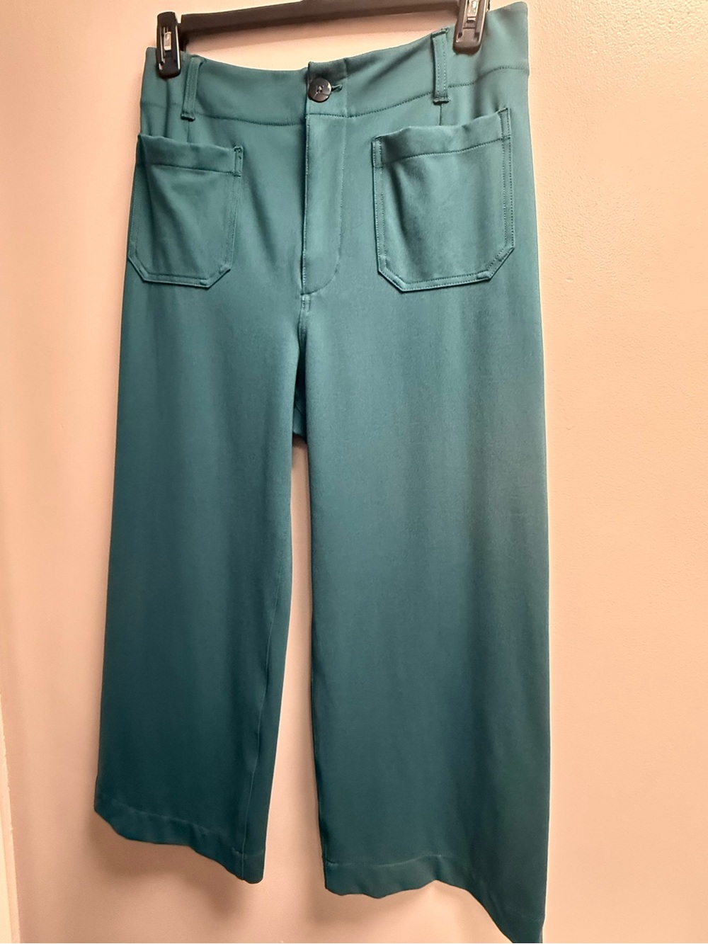 Like New (Worn Once) maeve by Anthropologie Teal Wide-Leg Pants Women’s Waist 31